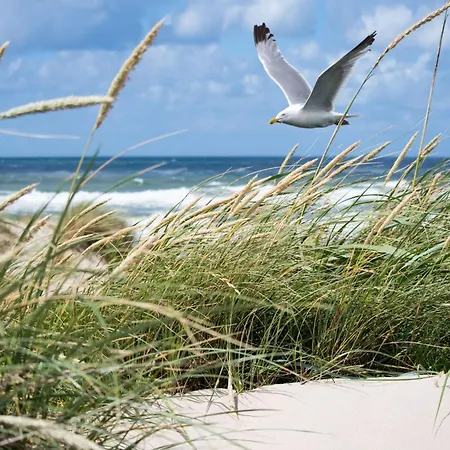 Near With Terrace Apartment *